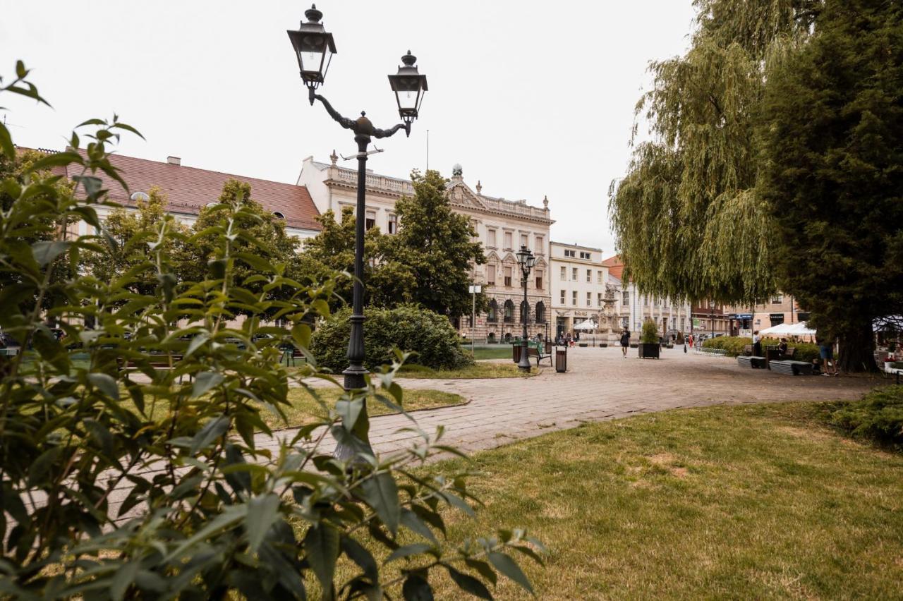 Cathedral Apartment Szczecin Luaran gambar